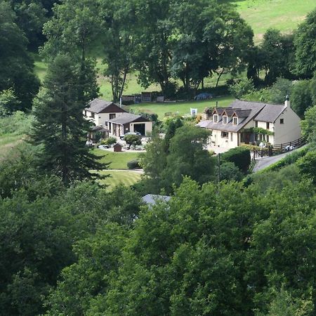 Ty Twt - Complete Holiday Home Llandysul Εξωτερικό φωτογραφία