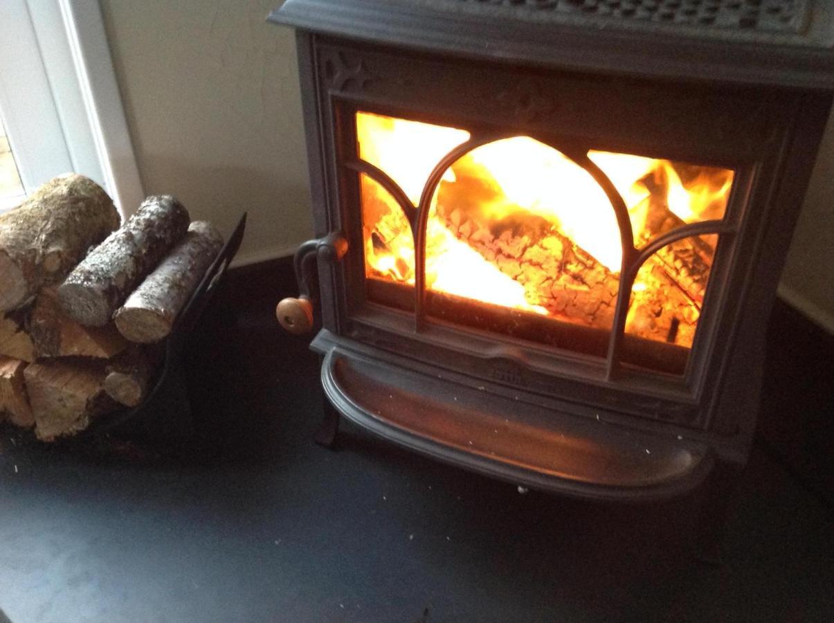 Ty Twt - Complete Holiday Home Llandysul Εξωτερικό φωτογραφία