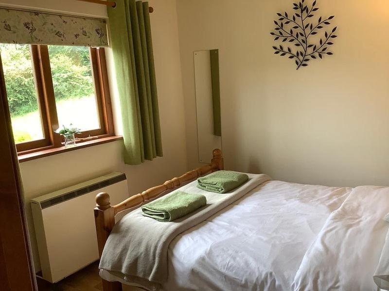 Ty Twt - Complete Holiday Home Llandysul Εξωτερικό φωτογραφία