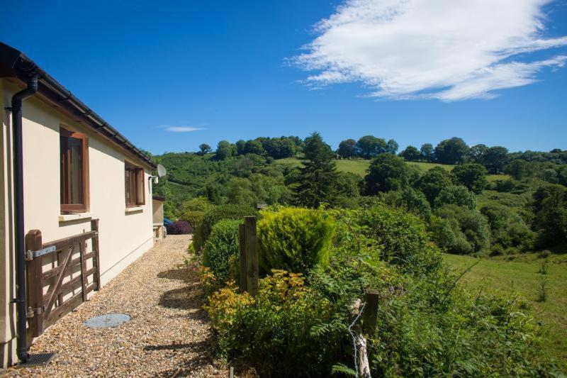 Ty Twt - Complete Holiday Home Llandysul Εξωτερικό φωτογραφία
