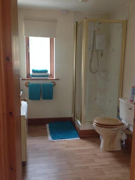 Ty Twt - Complete Holiday Home Llandysul Εξωτερικό φωτογραφία